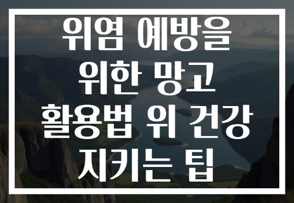 위염 예방을 위한 망고 활용법 위 건강 지키는 팁