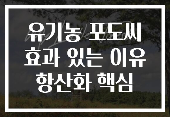 유기농 포도씨 효과 있는 이유 항산화 핵심