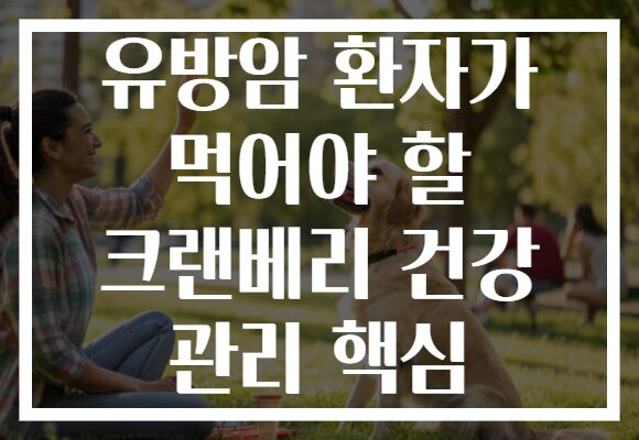 유방암 환자가 먹어야 할 크랜베리 건강 관리 핵심