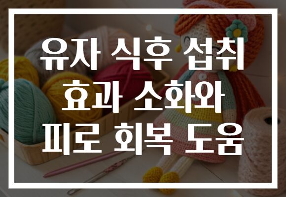유자 식후 섭취 효과 소화와 피로 회복 도움