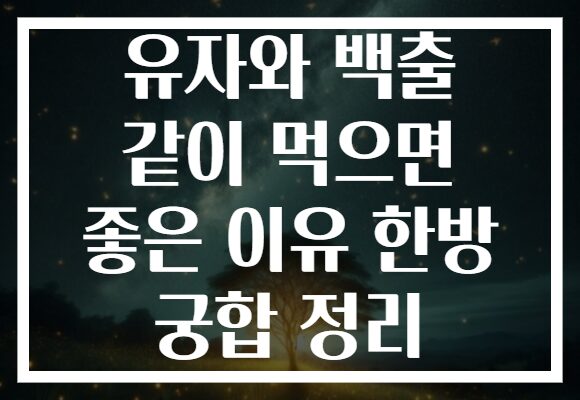 유자와 백출 같이 먹으면 좋은 이유 한방 궁합 정리