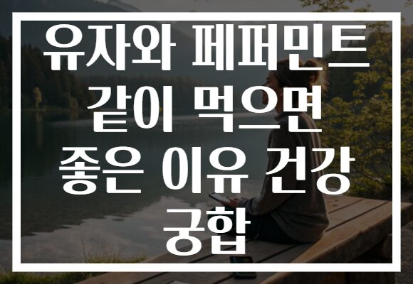 유자와 페퍼민트 같이 먹으면 좋은 이유 건강 궁합