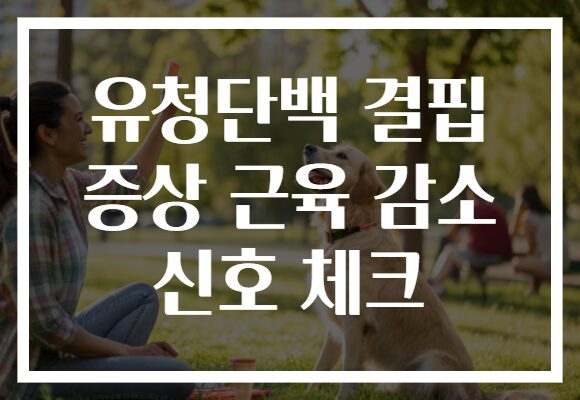 유청단백 결핍 증상 근육 감소 신호 체크