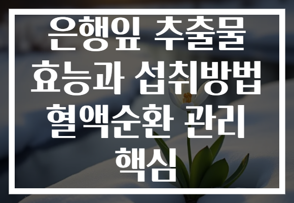 은행잎 추출물 효능과 섭취방법 혈액순환 관리 핵심