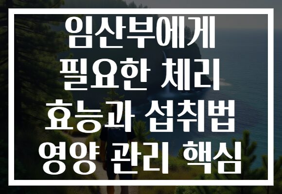 임산부에게 필요한 체리 효능과 섭취법 영양 관리 핵심