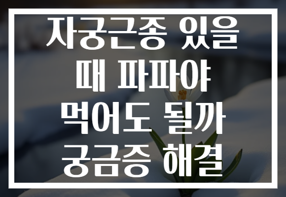 자궁근종 있을 때 파파야 먹어도 될까 궁금증 해결