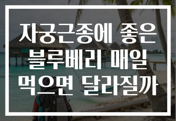 자궁근종에 좋은 블루베리 매일 먹으면 달라질까