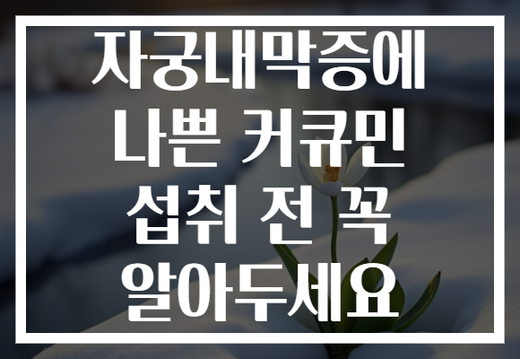 자궁내막증에 나쁜 커큐민 섭취 전 꼭 알아두세요