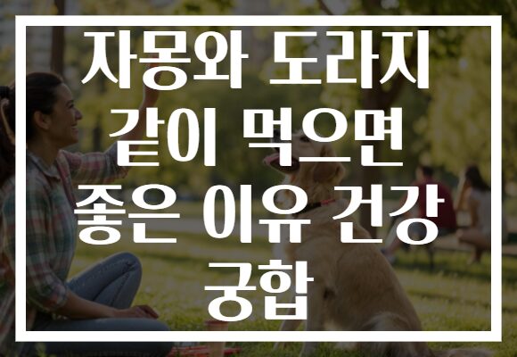 자몽와 도라지 같이 먹으면 좋은 이유 건강 궁합