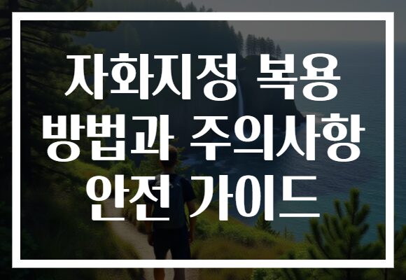 자화지정 복용 방법과 주의사항 안전 가이드