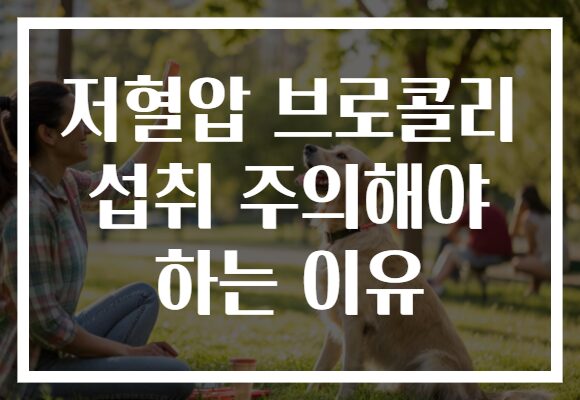 저혈압 브로콜리 섭취 주의해야 하는 이유