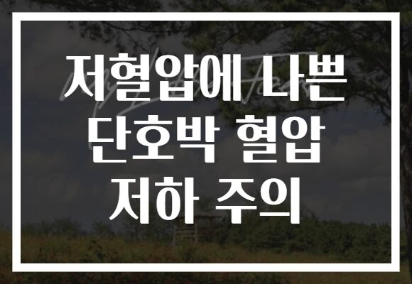 저혈압에 나쁜 단호박 혈압 저하 주의