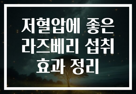 저혈압에 좋은 라즈베리 섭취 효과 정리