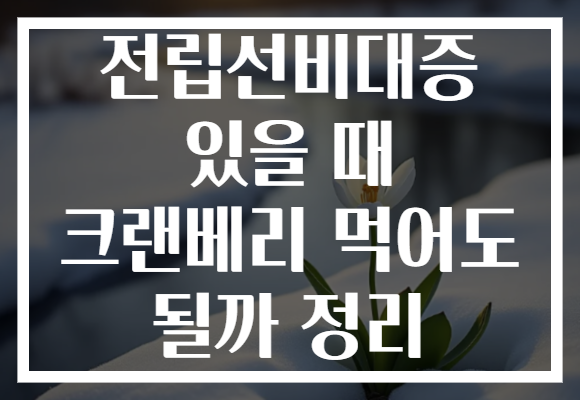 전립선비대증 있을 때 크랜베리 먹어도 될까 정리