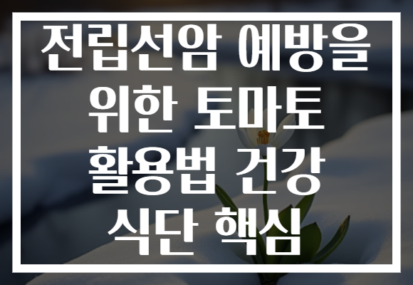 전립선암 예방을 위한 토마토 활용법 건강 식단 핵심
