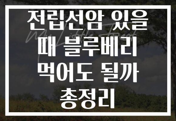 전립선암 있을 때 블루베리 먹어도 될까 총정리