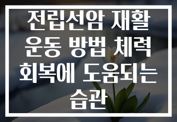 전립선암 재활 운동 방법 체력 회복에 도움되는 습관