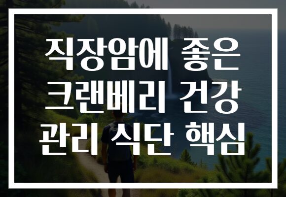 직장암에 좋은 크랜베리 건강 관리 식단 핵심