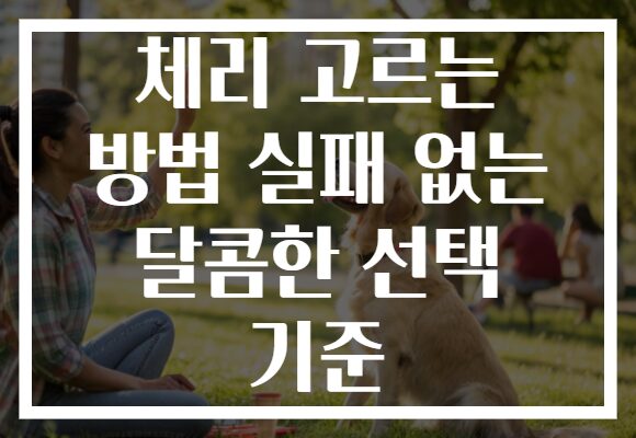 체리 고르는 방법 실패 없는 달콤한 선택 기준