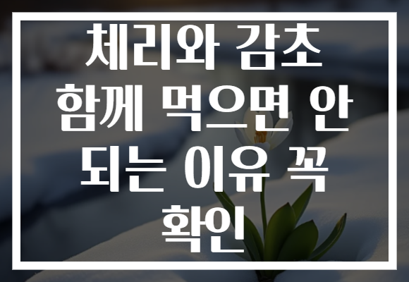 체리와 감초 함께 먹으면 안 되는 이유 꼭 확인