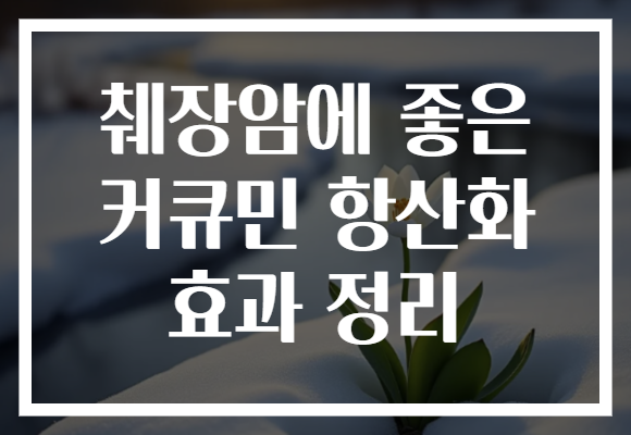 췌장암에 좋은 커큐민 항산화 효과 정리