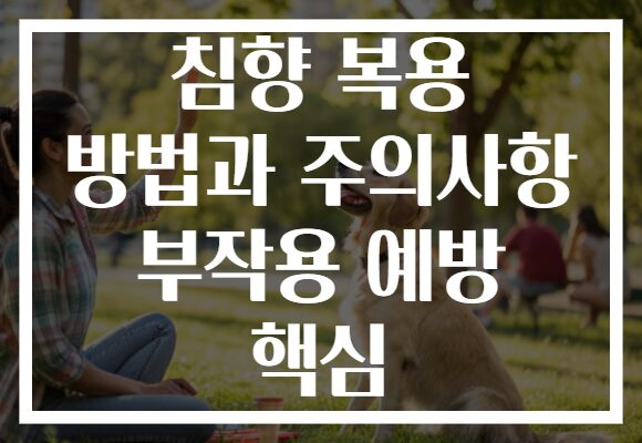 침향 복용 방법과 주의사항 부작용 예방 핵심
