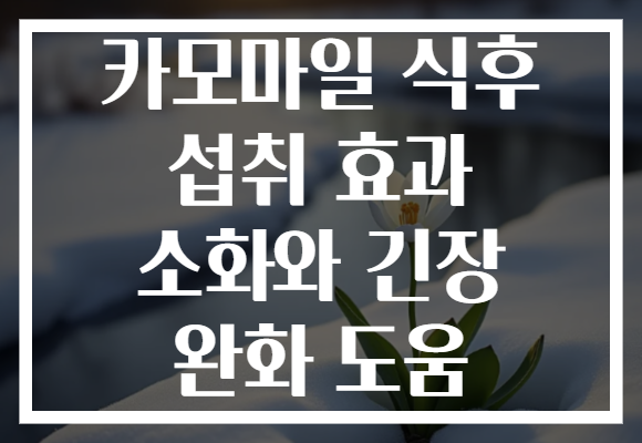 카모마일 식후 섭취 효과 소화와 긴장 완화 도움