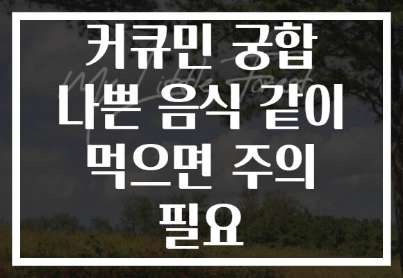 커큐민 궁합 나쁜 음식 같이 먹으면 주의 필요