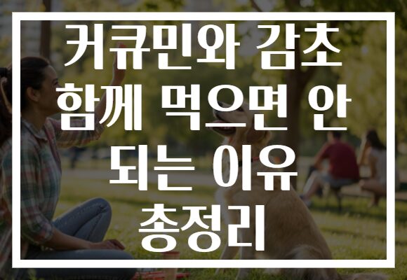 커큐민와 감초 함께 먹으면 안 되는 이유 총정리