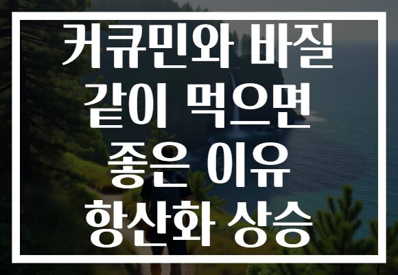 커큐민와 바질 같이 먹으면 좋은 이유 항산화 상승