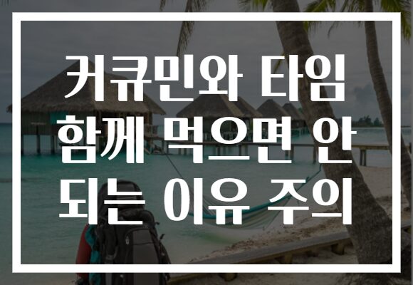커큐민와 타임 함께 먹으면 안 되는 이유 주의