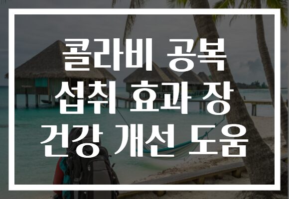 콜라비 공복 섭취 효과 장 건강 개선 도움