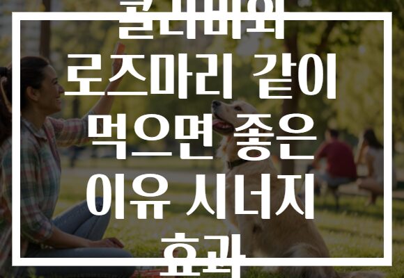 콜라비와 로즈마리 같이 먹으면 좋은 이유 시너지 효과