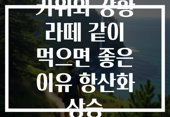 키위와 강황 라떼 같이 먹으면 좋은 이유 항산화 상승