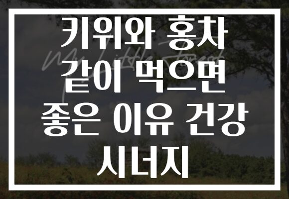 키위와 홍차 같이 먹으면 좋은 이유 건강 시너지