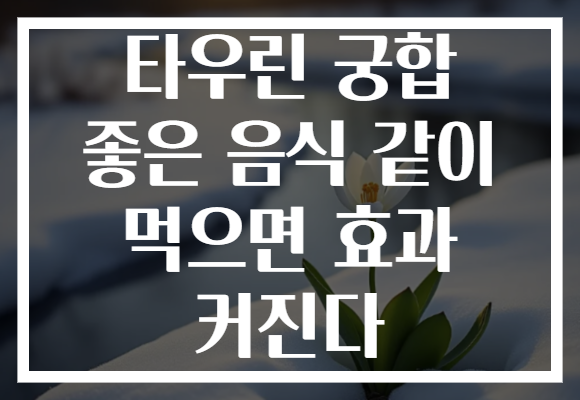 타우린 궁합 좋은 음식 같이 먹으면 효과 커진다