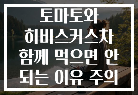 토마토와 히비스커스차 함께 먹으면 안 되는 이유 주의