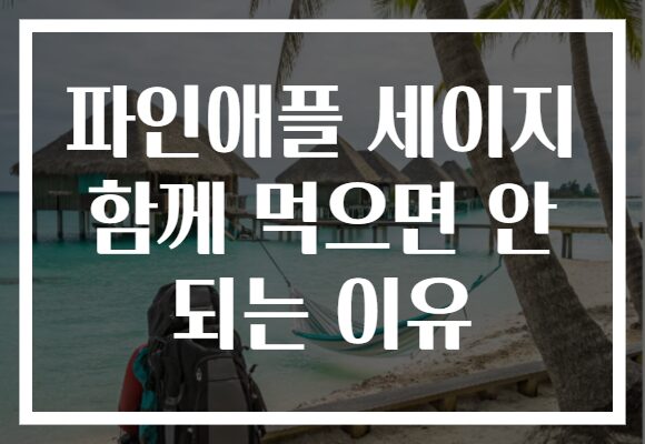 파인애플 세이지 함께 먹으면 안 되는 이유