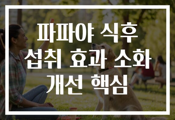 파파야 식후 섭취 효과 소화 개선 핵심