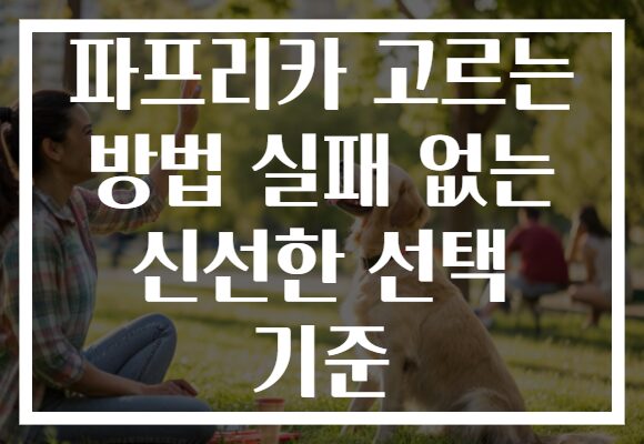 파프리카 고르는 방법 실패 없는 신선한 선택 기준