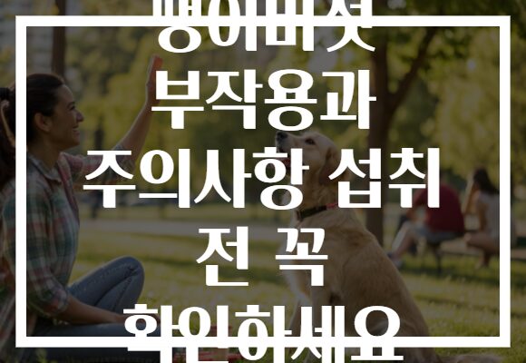 팽이버섯 부작용과 주의사항 섭취 전 꼭 확인하세요