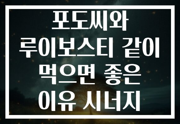 포도씨와 루이보스티 같이 먹으면 좋은 이유 시너지