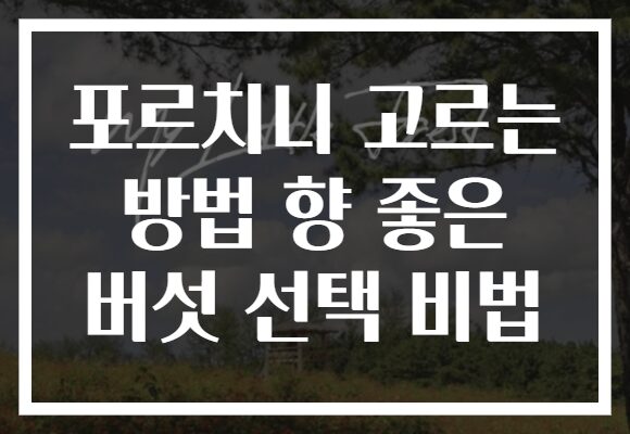 포르치니 고르는 방법 향 좋은 버섯 선택 비법