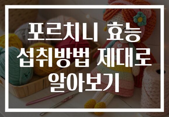 포르치니 효능 섭취방법 제대로 알아보기