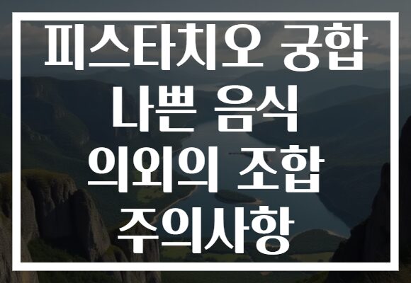 피스타치오 궁합 나쁜 음식 의외의 조합 주의사항