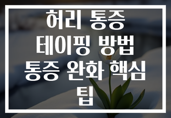 허리 통증 테이핑 방법 통증 완화 핵심 팁