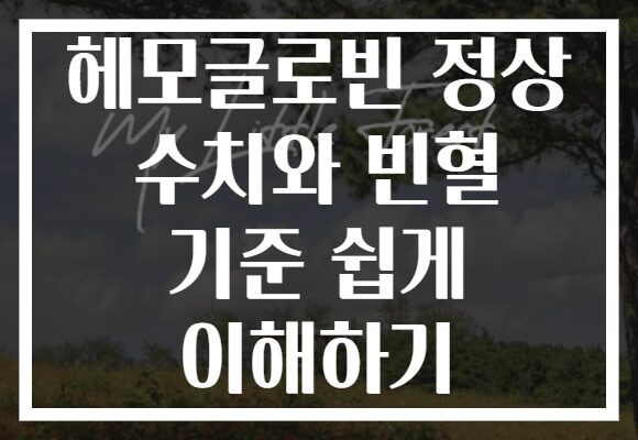 헤모글로빈 정상 수치와 빈혈 기준 쉽게 이해하기