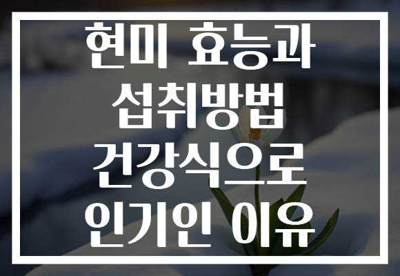 현미 효능과 섭취방법 건강식으로 인기인 이유