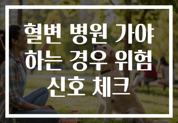 혈변 병원 가야 하는 경우 위험 신호 체크