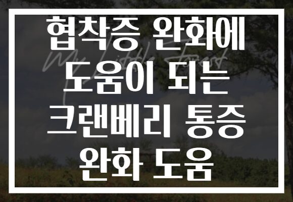 협착증 완화에 도움이 되는 크랜베리 통증 완화 도움